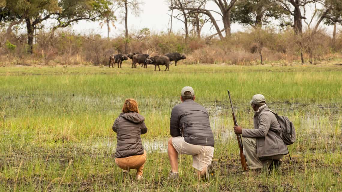 Geführte Wanderung und Bueffel  vor dem Abu Camp im Okavango Delta