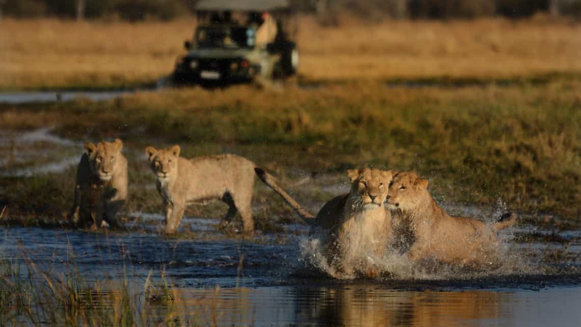 Camp Savuti, Savuti, Chobe Nationalpark