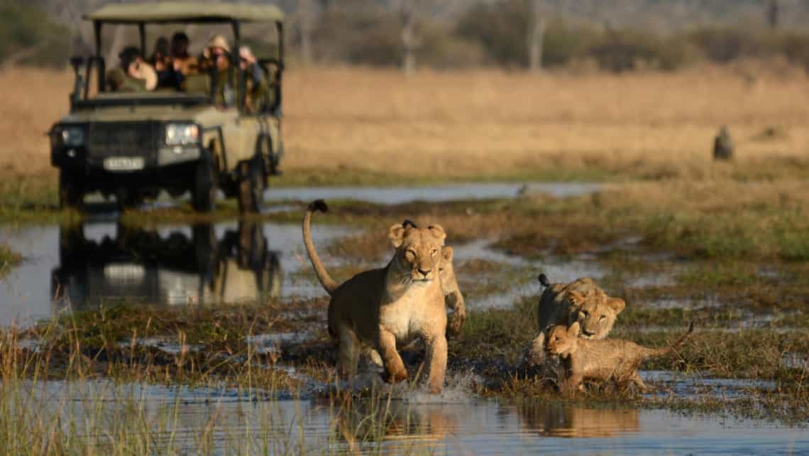 Camp Savuti, Savuti, Chobe Nationalpark