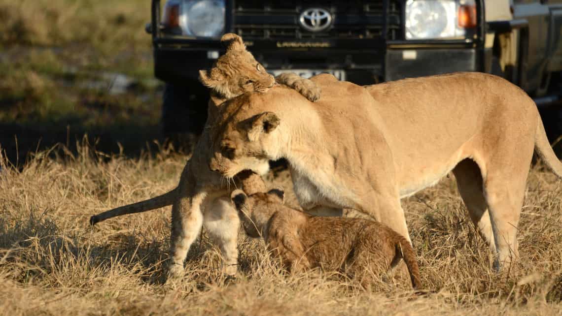 Camp Savuti, Savuti, Chobe Nationalpark