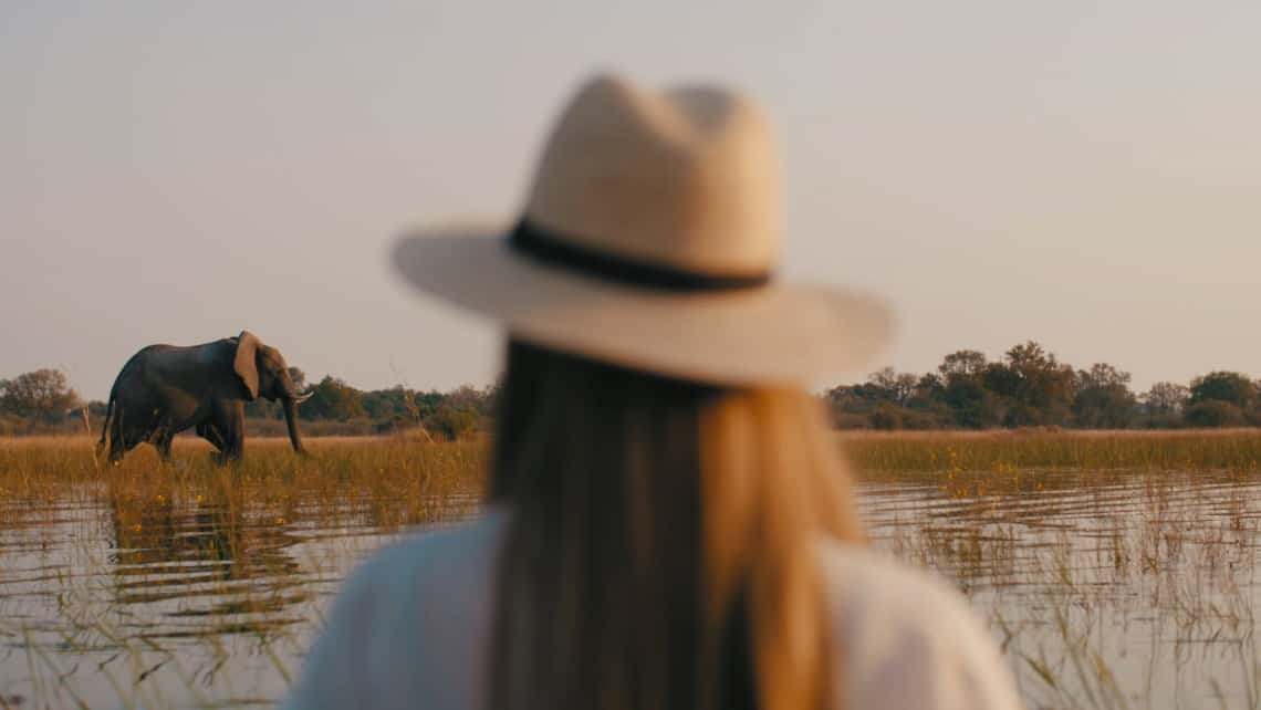 Geführte Wanderung und Bueffel  vor dem Abu Camp im Okavango Delta