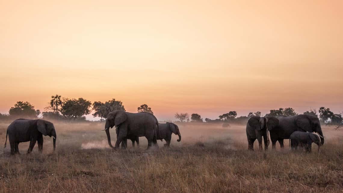 Wilderness Chitabe Camp, Okavango Delta Botswana