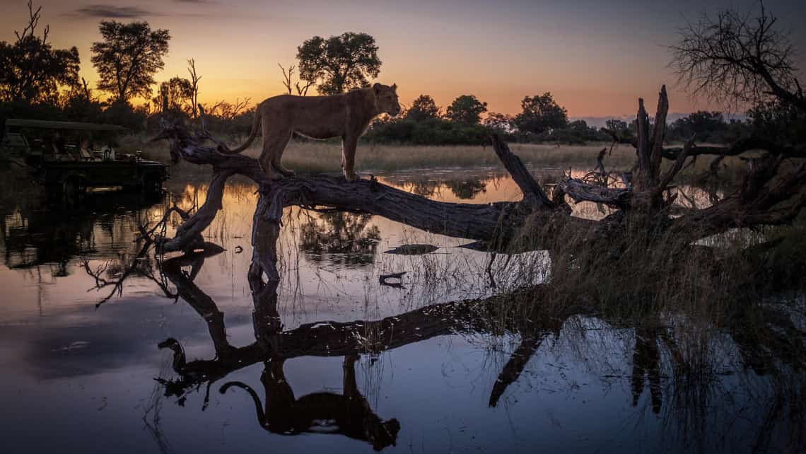 Wilderness Chitabe Camp, Okavango Delta Botswana