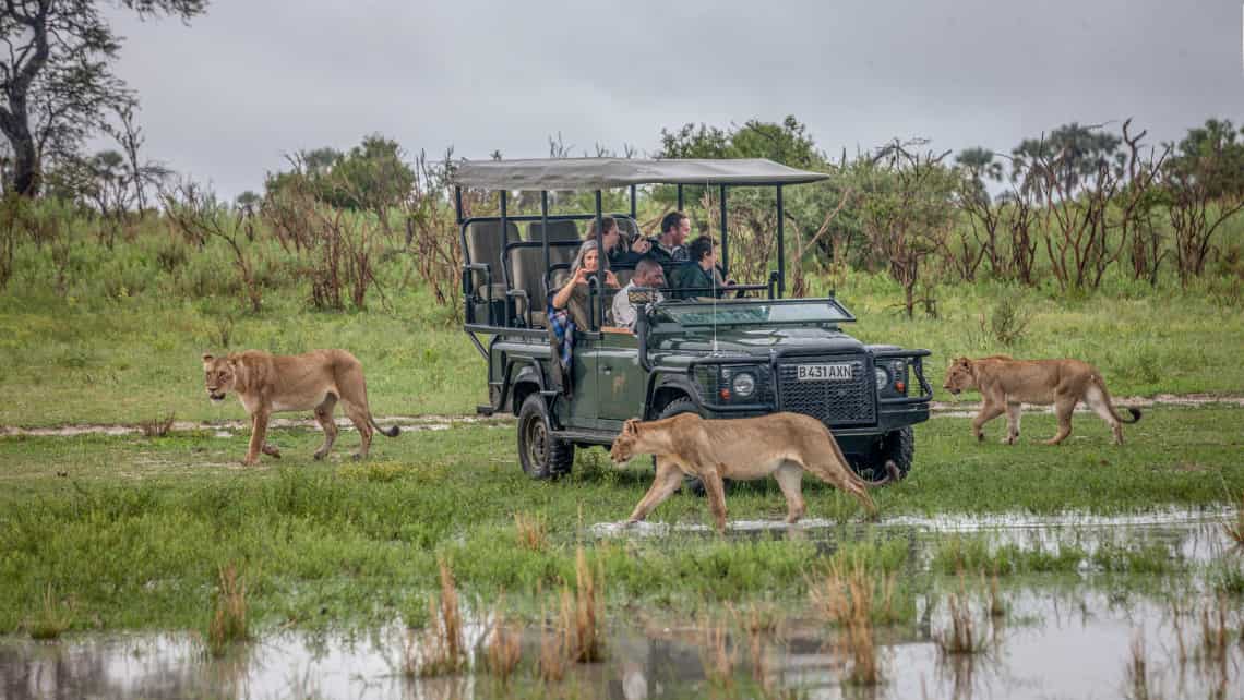 Wilderness Chitabe Camp, Okavango Delta Botswana