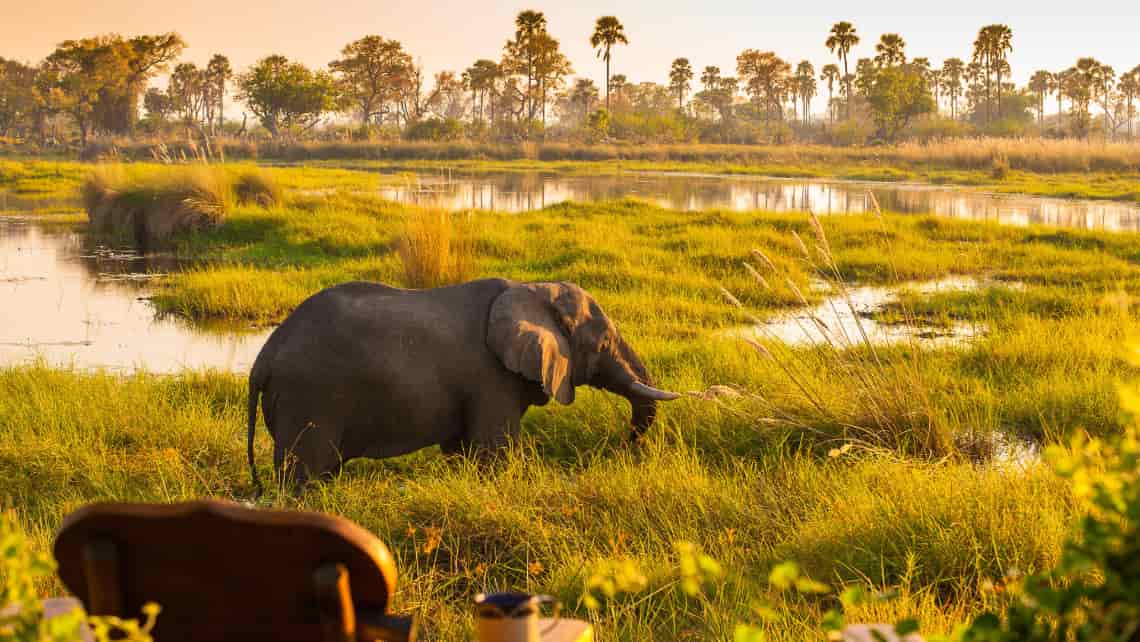 Delta Camp, Okavango Delta, Botswana