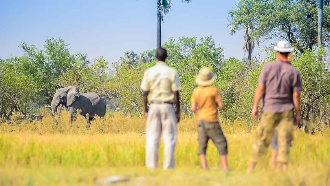 Delta Camp, Okavango Delta, Botswana