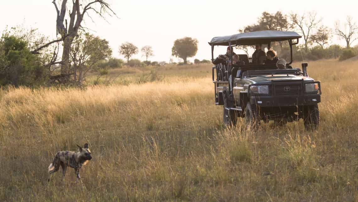  Duba Explorers Camp, Okavango Delta Botswana