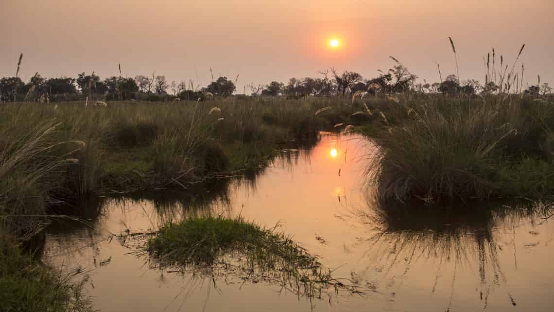 Duba Explorers Camp, Okavango Delta Botswana