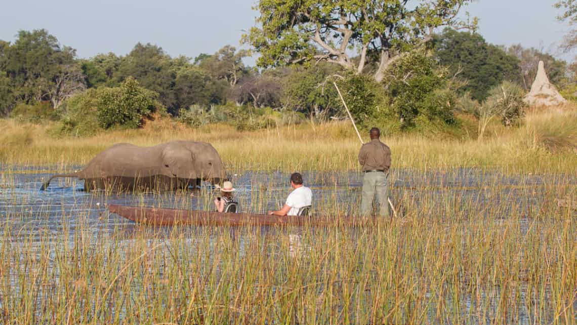  Mokoro Ausflug mit Blick auf Elefant Belmond Eagle Island Lodge, Okavango Delta