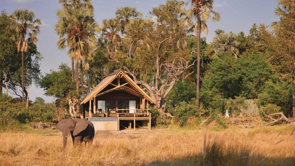 Elefant vor dem Luxuszelt der Belmond Eagle Island Lodge, Okavango Delta