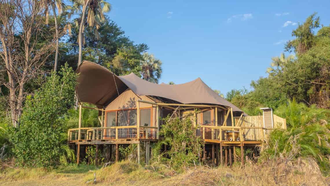 Elefant vor dem Zelt Zarafa Camp, Linyanti