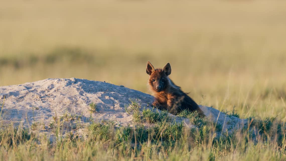 Camp Kalahari, Makgadikgadi Pan