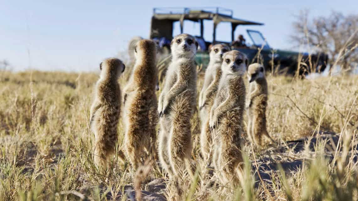 Camp Kalahari, Makgadikgadi Pan