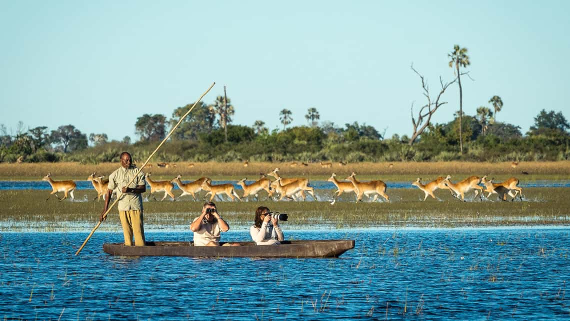 Geführte Pirschfahrt im offenen Geländewagen und Antilopen in der Lagune vor dem Jao Camp im Okavango Delta