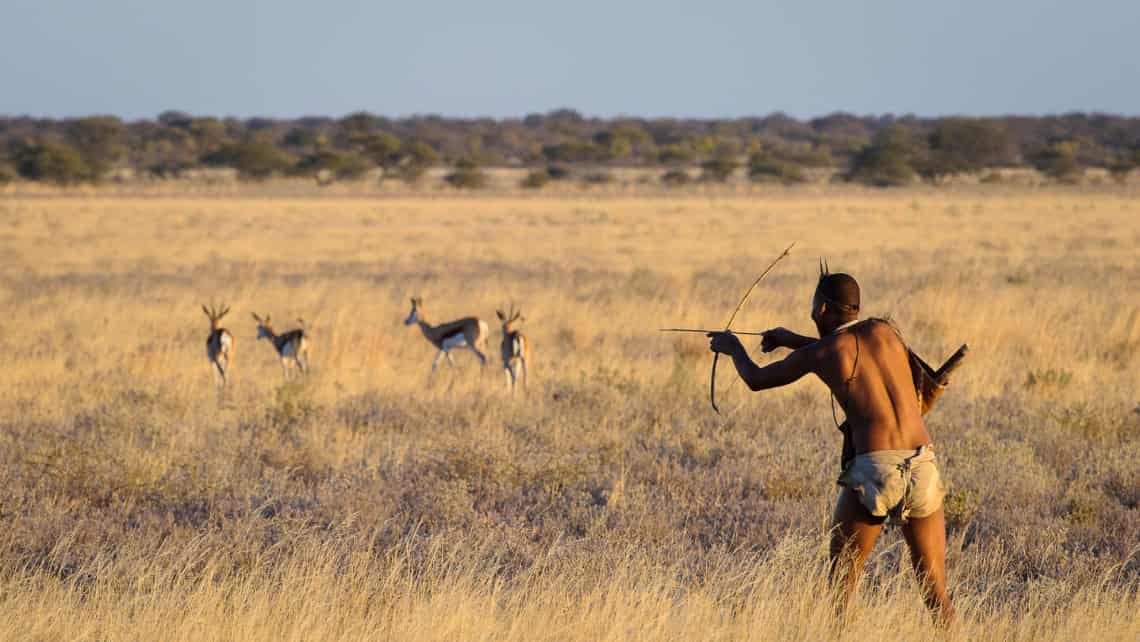 Wild Dogs, Wildhunde im Selinda Reserve Zarafa Camp, Linyanti