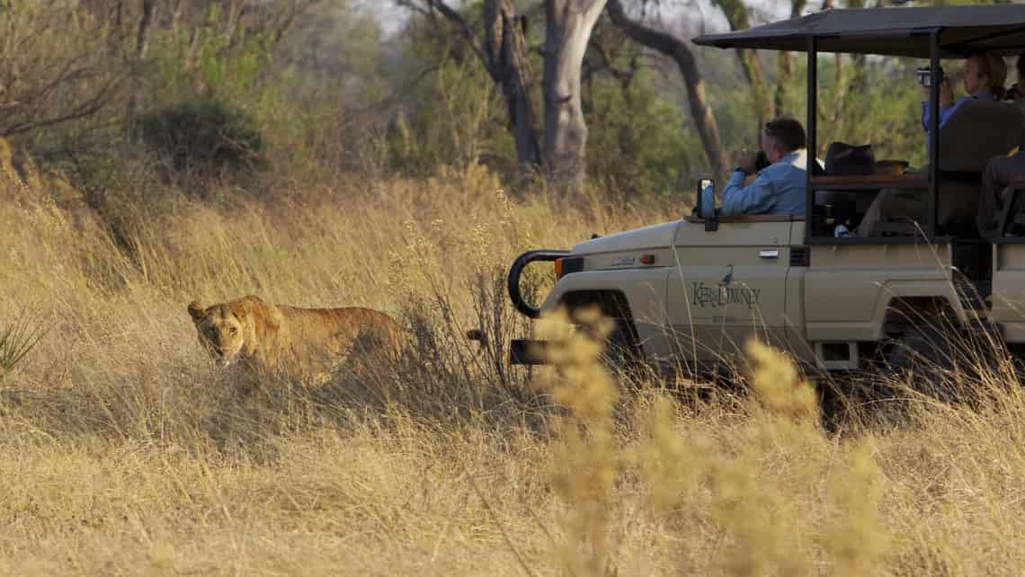 Kanana Camp, Okavango Delta, Botswana