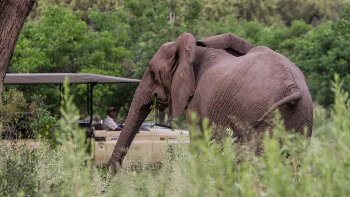 Kanana Camp, Okavango Delta, Botswana