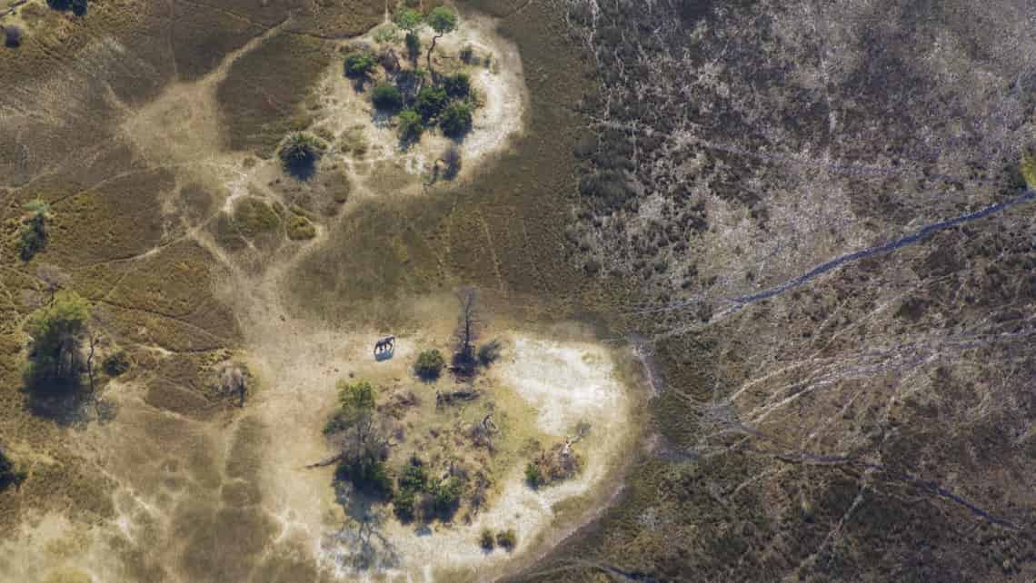 Kanana Camp, Okavango Delta, Botswana