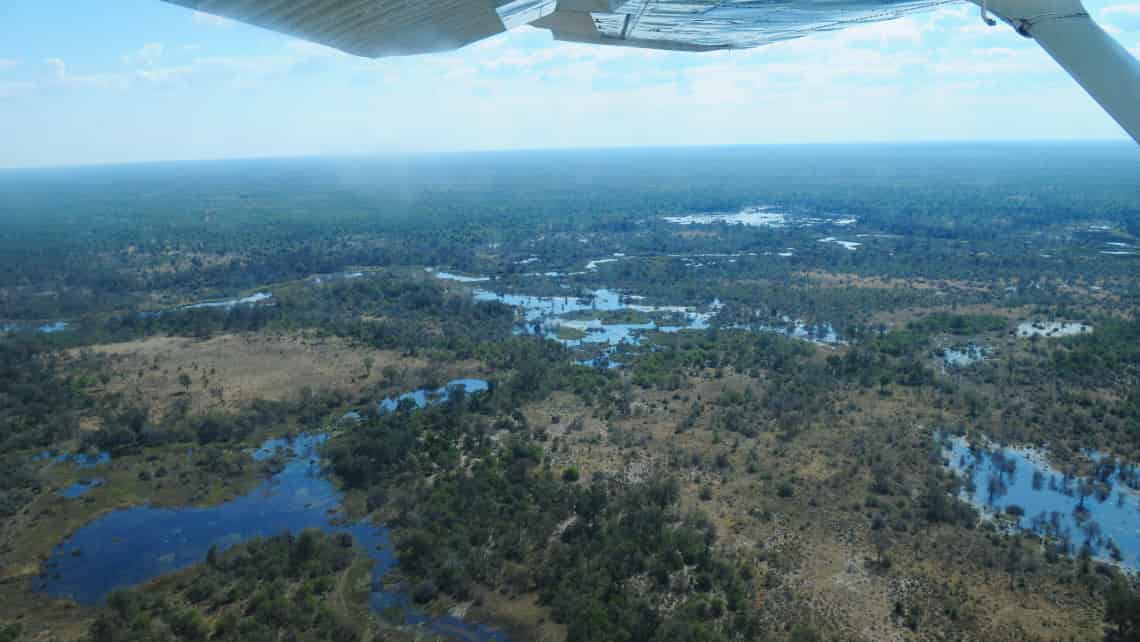 Sango Safari Camp, Khwai