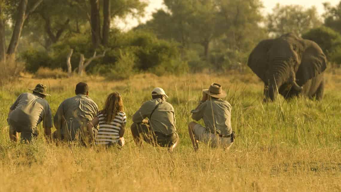 Khwai Bush Camp, Khwai