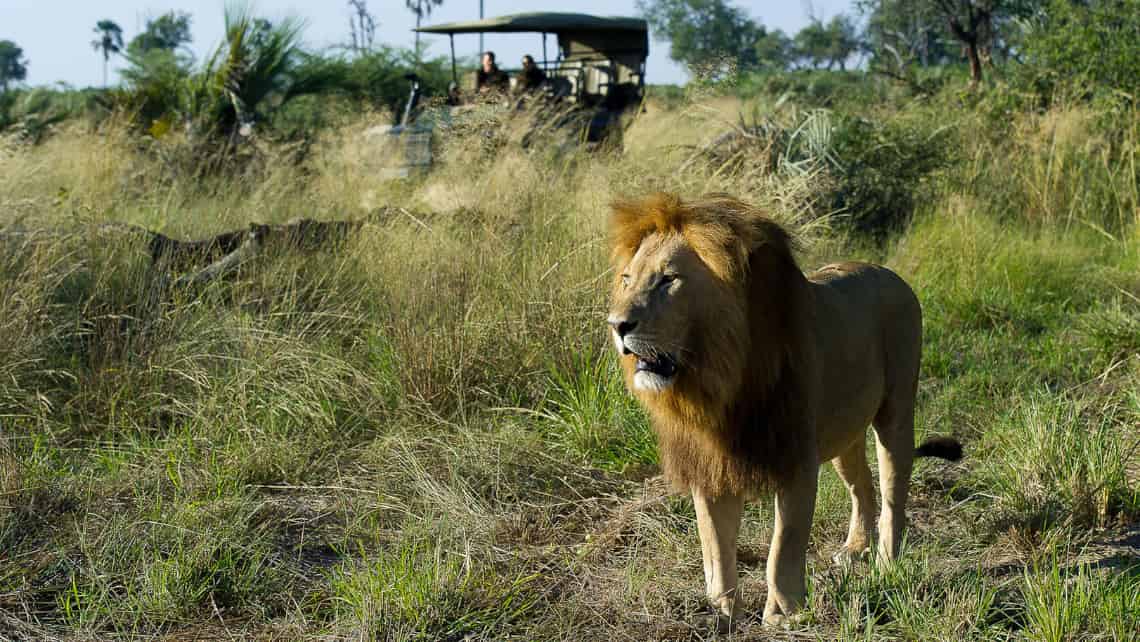  Kwetsani Camp , Okavango Delta Botswana