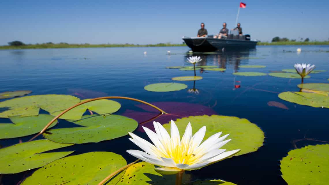  Kwetsani Camp , Okavango Delta Botswana