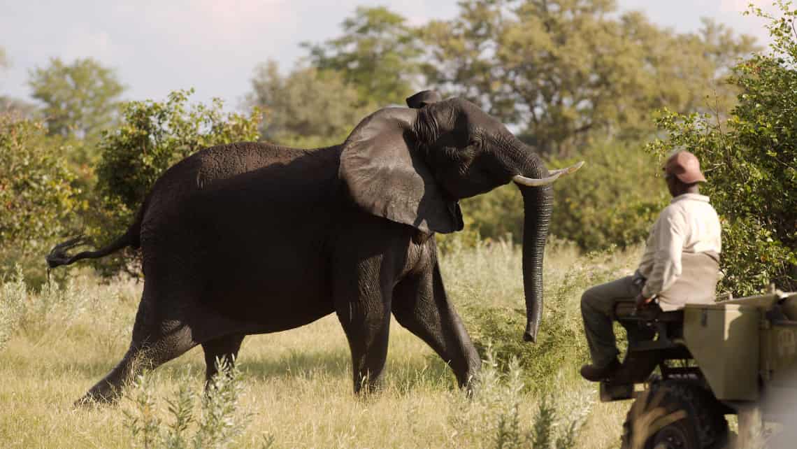 Kwando Lebala Camp, Linyanti, Chobe Nationalpark