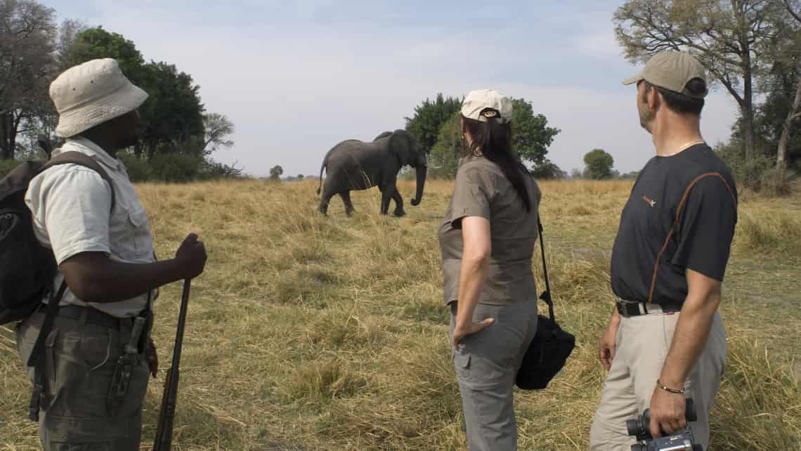 Kwando Lebala Camp, Linyanti, Chobe Nationalpark