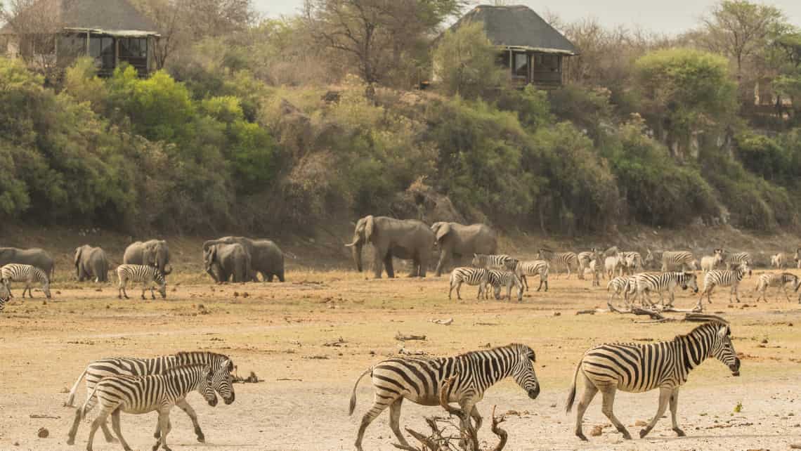 Leroo la Tau Lodge, Makgadikgadi Pan