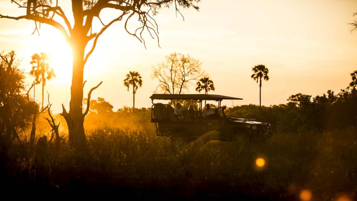 Leoparden Mutter mit Leoparden Baby vor den Mombo Camp Moremi Game Reserve