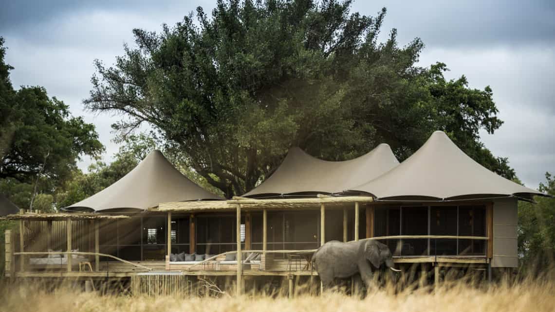 elefenten vo dem Mombo Camp Moremi Game Reserve