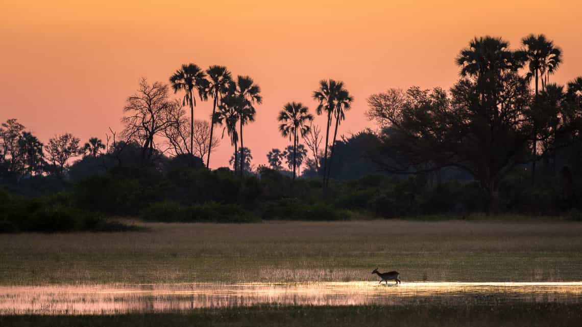 Little Tubu Camp, Okavango Delta Botswana