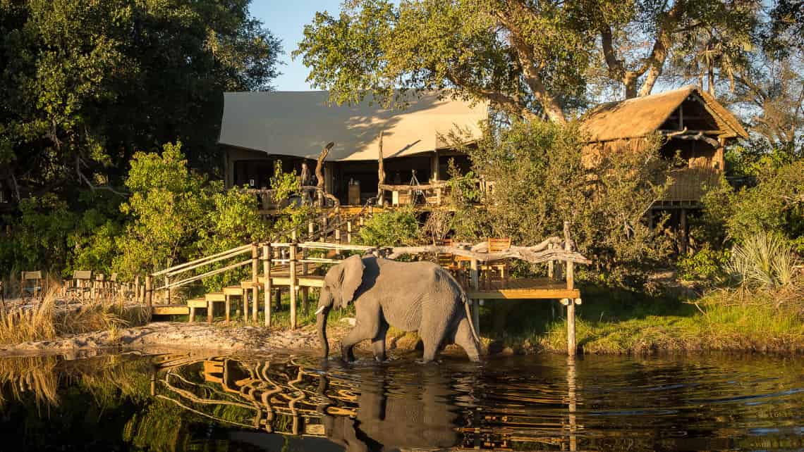 Little Tubu Camp, Okavango Delta Botswana