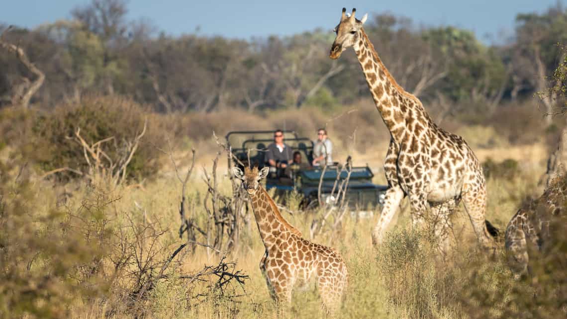 Little Tubu Camp, Okavango Delta Botswana