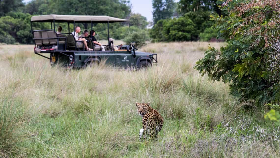 Little Tubu Camp, Okavango Delta Botswana