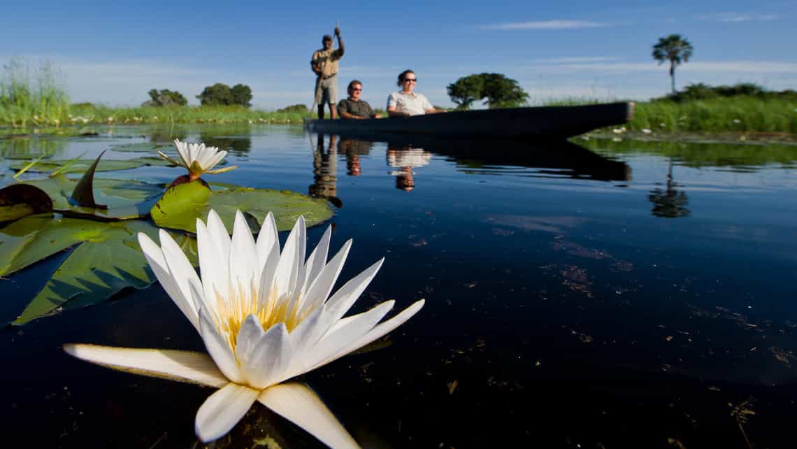 Little Tubu Camp, Okavango Delta Botswana