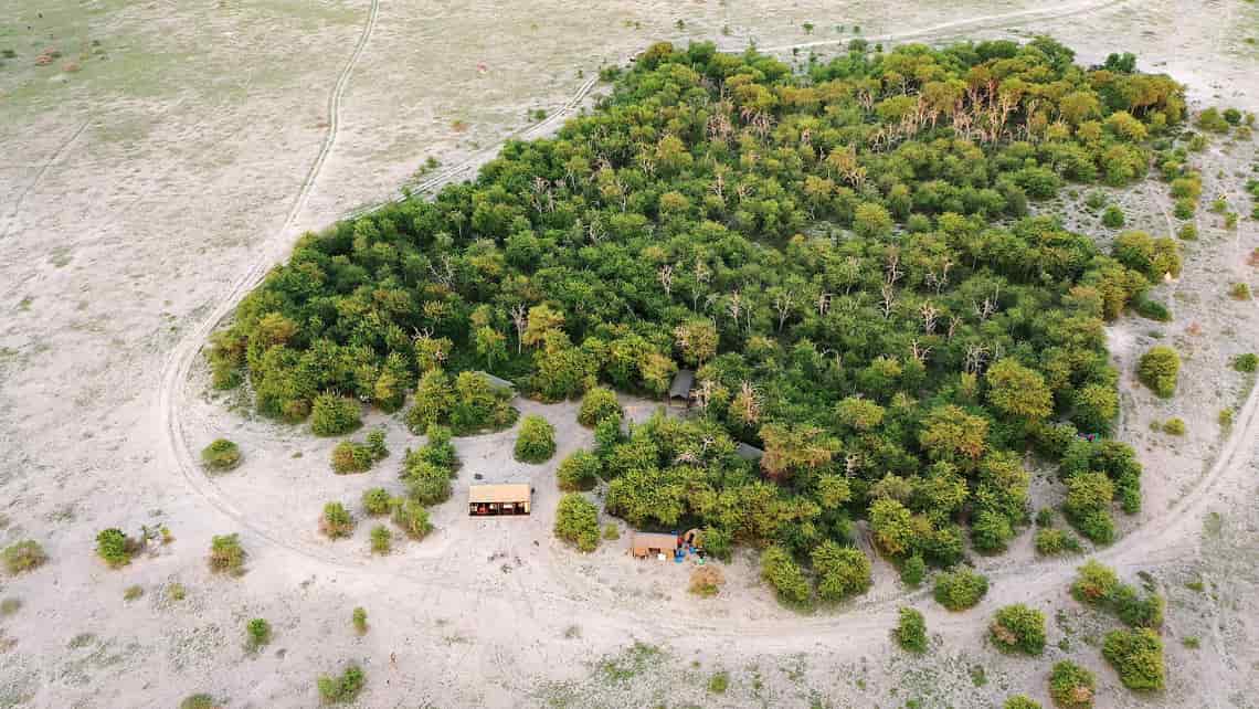 Elefant vor dem Zelt Zarafa Camp, Linyanti