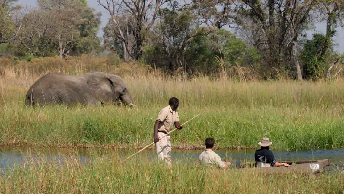  Moremi Crossing Camp, Okavango Delta Botswana