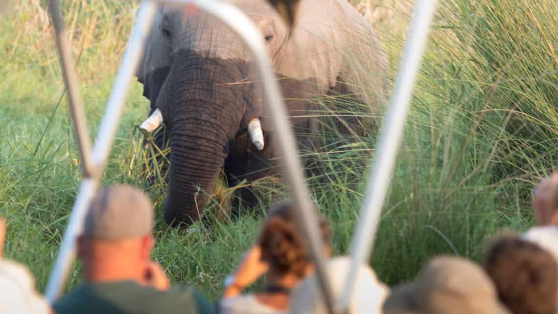  Moremi Crossing Camp, Okavango Delta Botswana