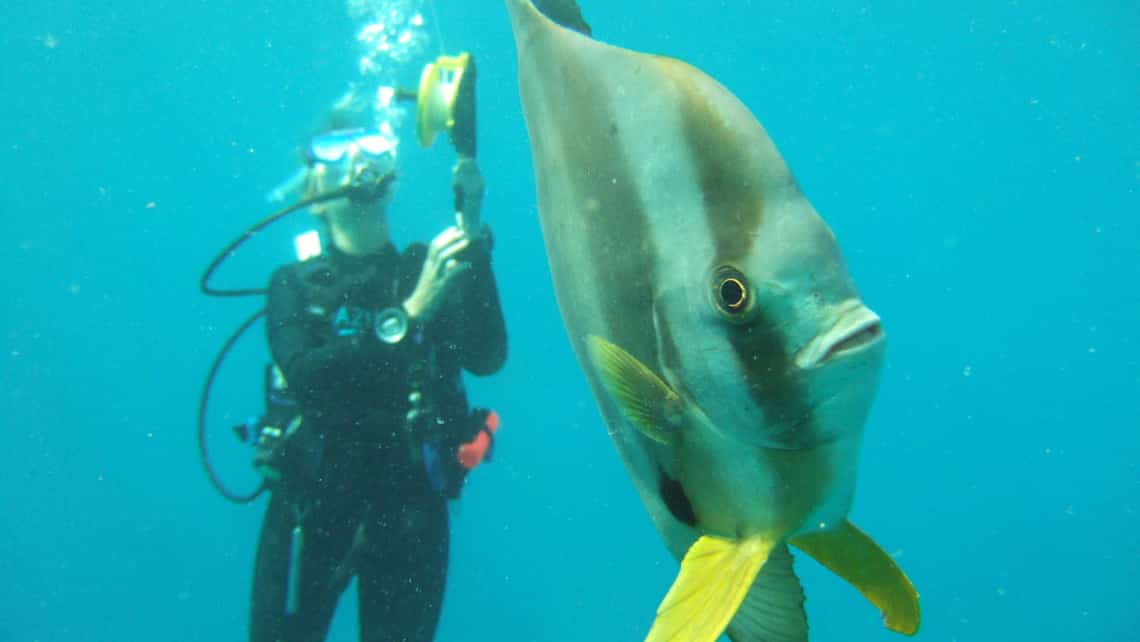 Azura Benguerra Island, Bazaruto Marine Park, Mosambik