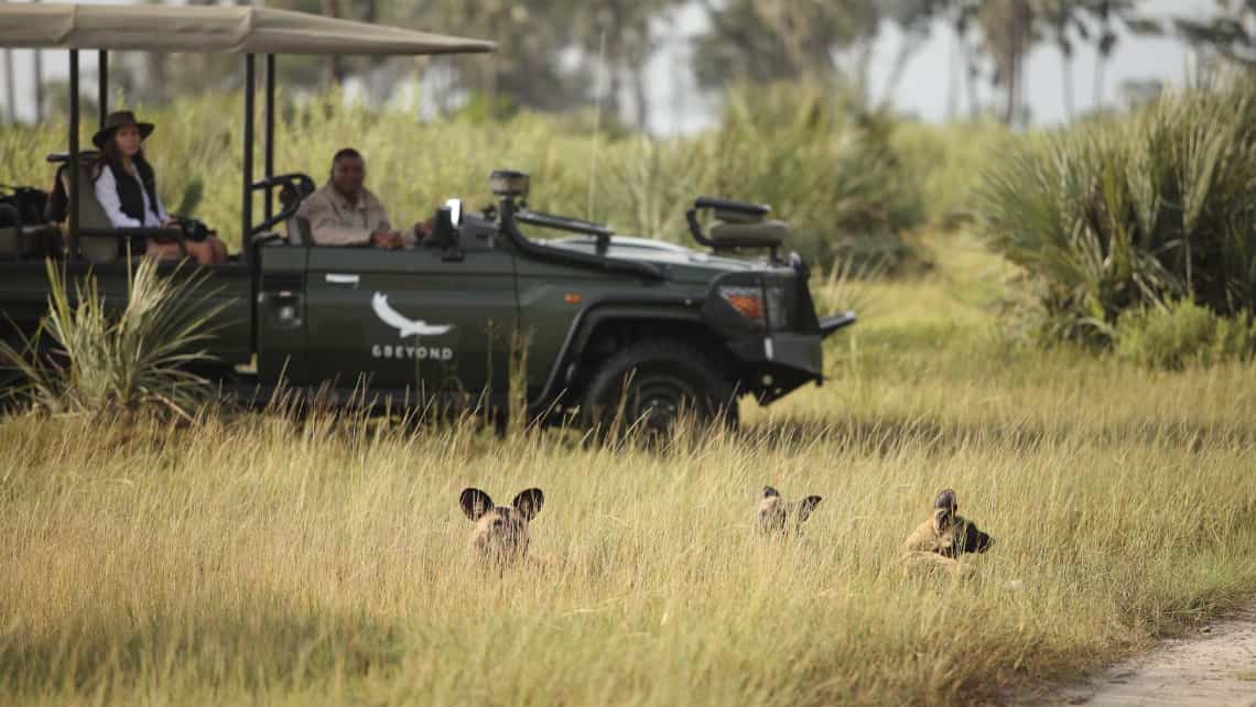 Löwen Mutter mit Löwen Baby im Selinda Reserve in der Nähe des Zarafa Camp, Linyanti