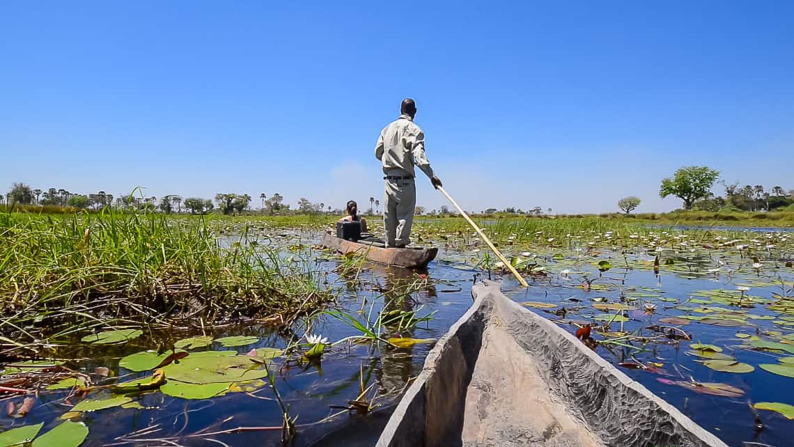 Oddballs Camp, Okavango Delta, Botswana