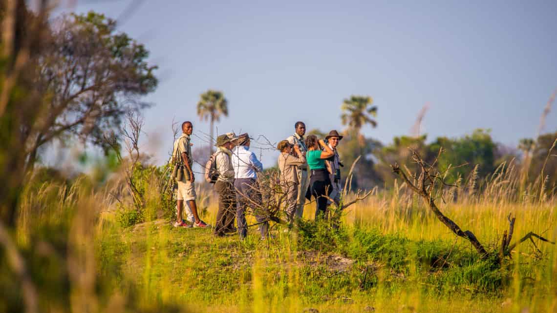 Oddballs Enclave Camp, Okavango Delta, Botswana