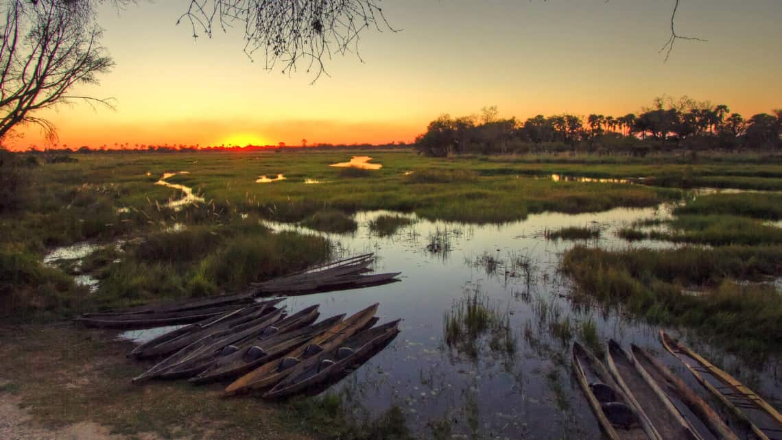 Oddballs Camp, Okavango Delta, Botswana