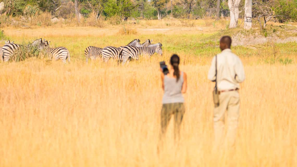 Oddballs Camp, Okavango Delta, Botswana