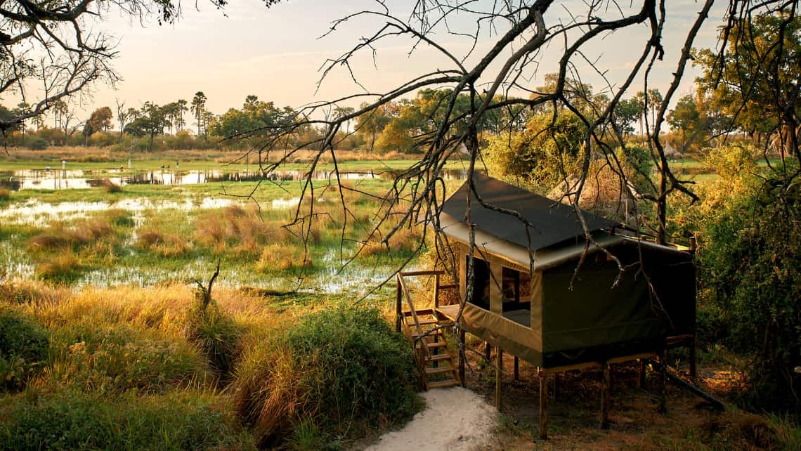 Oddballs Camp, Okavango Delta, Botswana