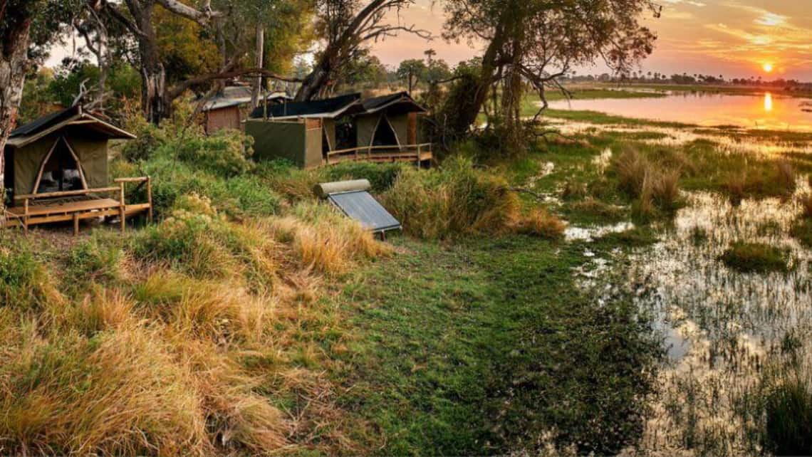 Oddballs Camp, Okavango Delta, Botswana