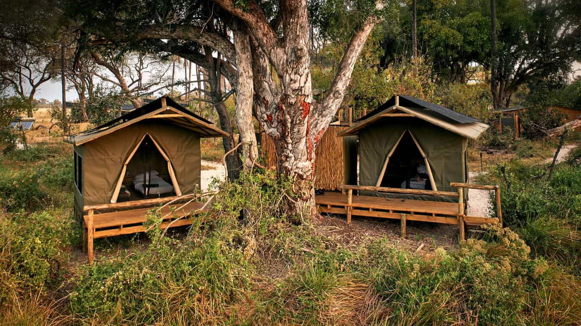 Oddballs Camp, Okavango Delta, Botswana