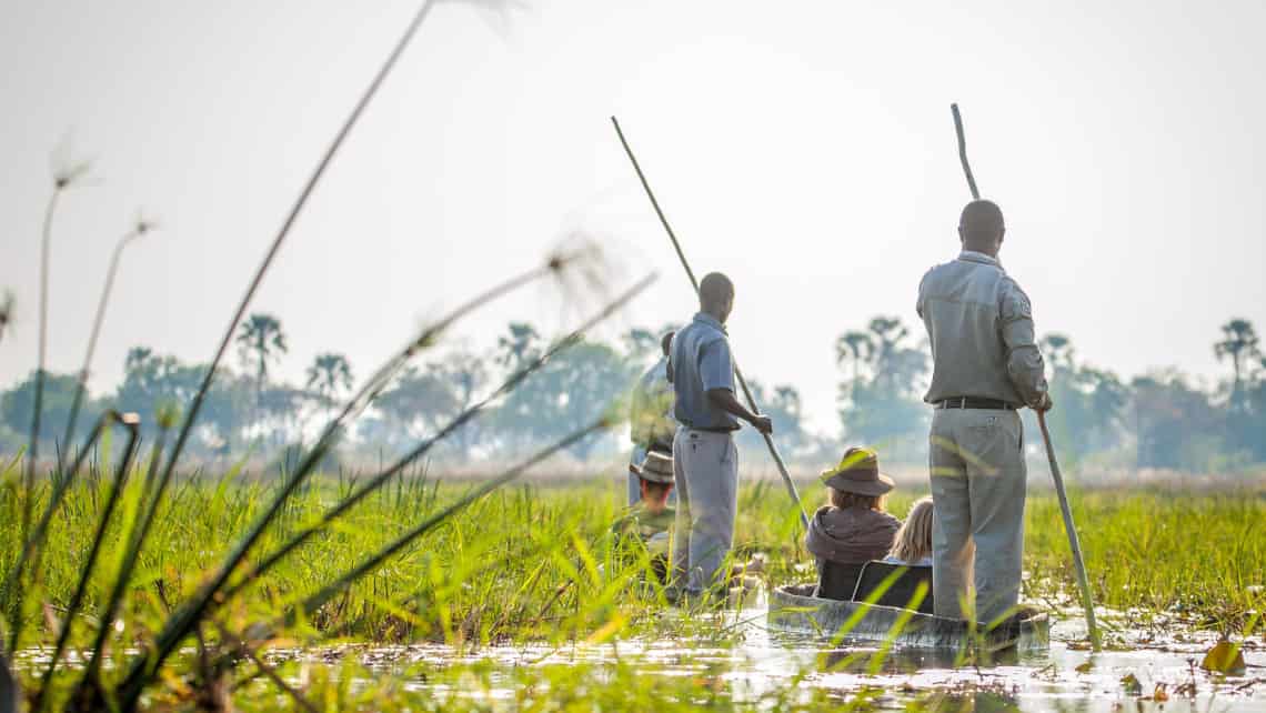 Oddballs Enclave Camp, Okavango Delta, Botswana