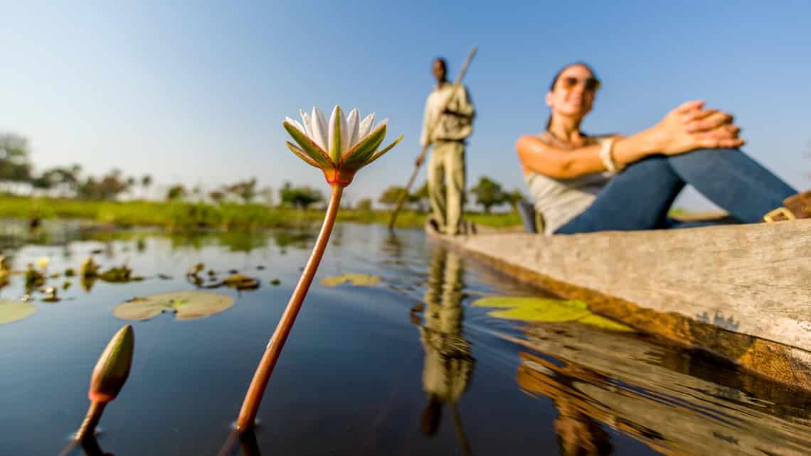 Oddballs Enclave Camp, Okavango Delta, Botswana